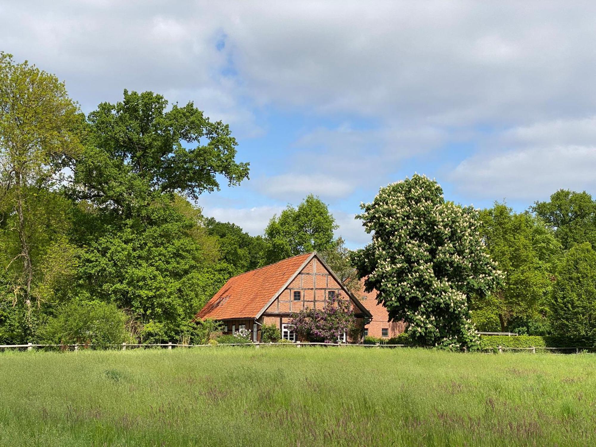 Ferienhaeuser Weitblick Gilten Exterior foto