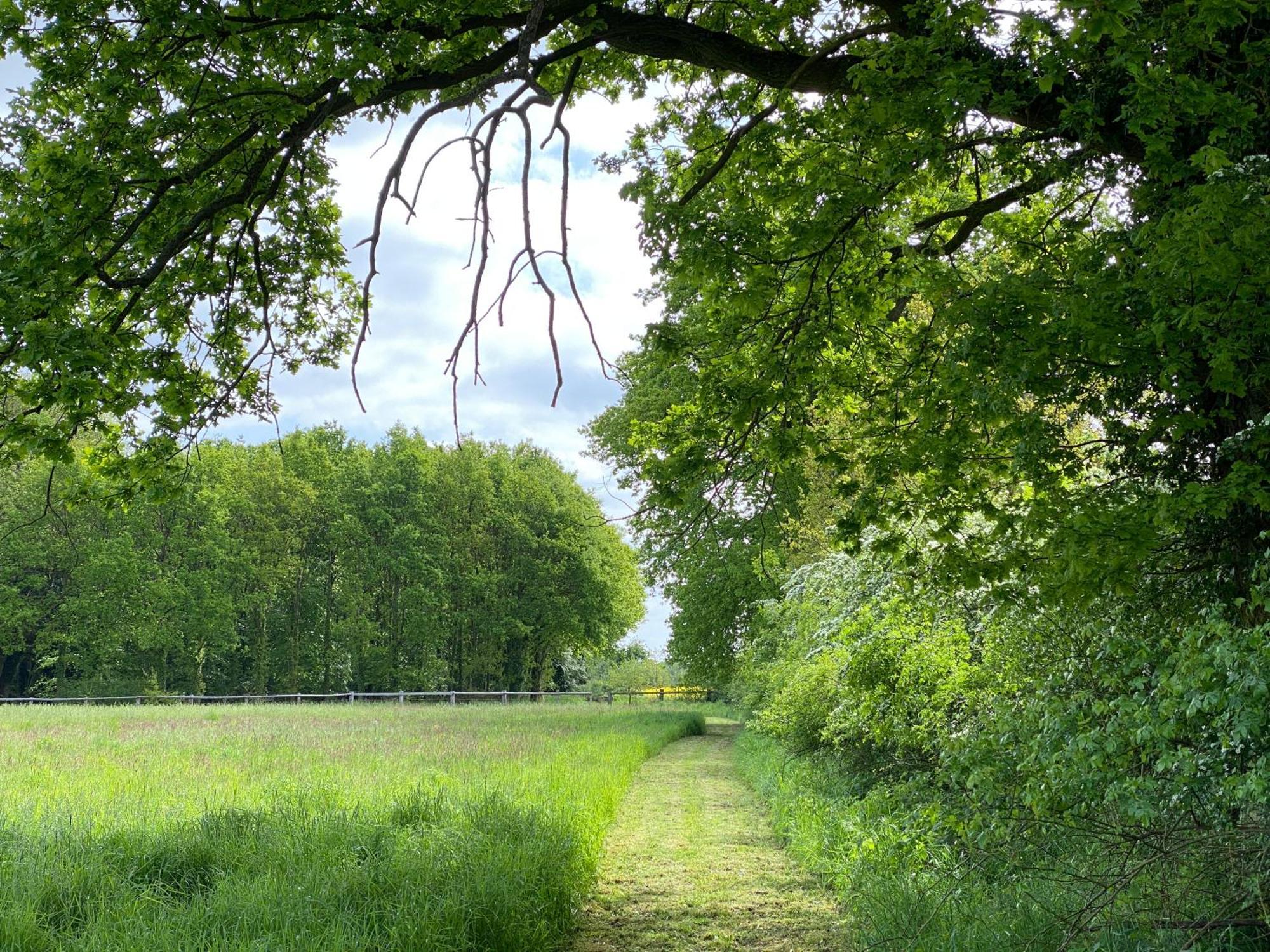 Ferienhaeuser Weitblick Gilten Exterior foto